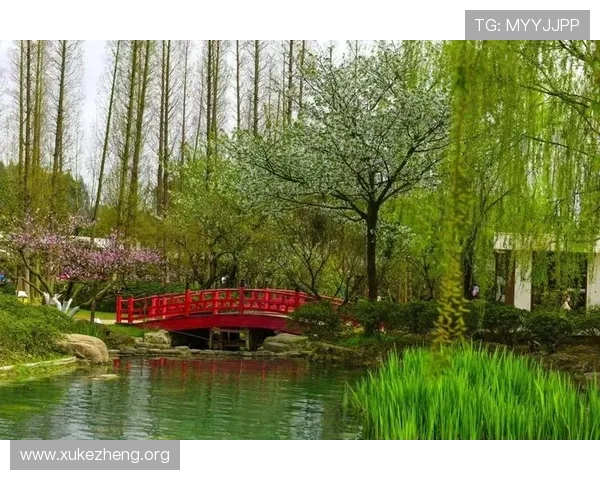 万博官方登录入口详细指南，帮助新手快速注册登录享受丰富游戏内容与优惠福利