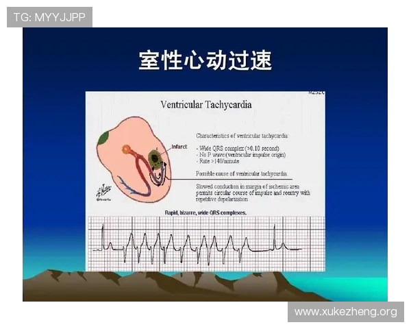 提升ued体育网页版登陆体验的实用技巧与常见操作流程详解